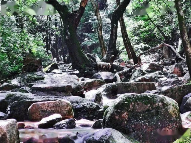 疯狂黏黏乐